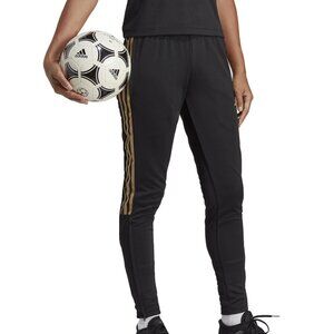 adidas Women's Reflective Trio 23 Track Pants